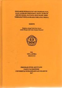 Image of Pengaruh Pendapatan Asli Daerah (PAD), Dana Alokasi Umum (DAU), Dana Alokasi Khusus (DAK), Dan Dana Bagi Hasil (DBH) Terhadap Pengalokasian Belanja Modal